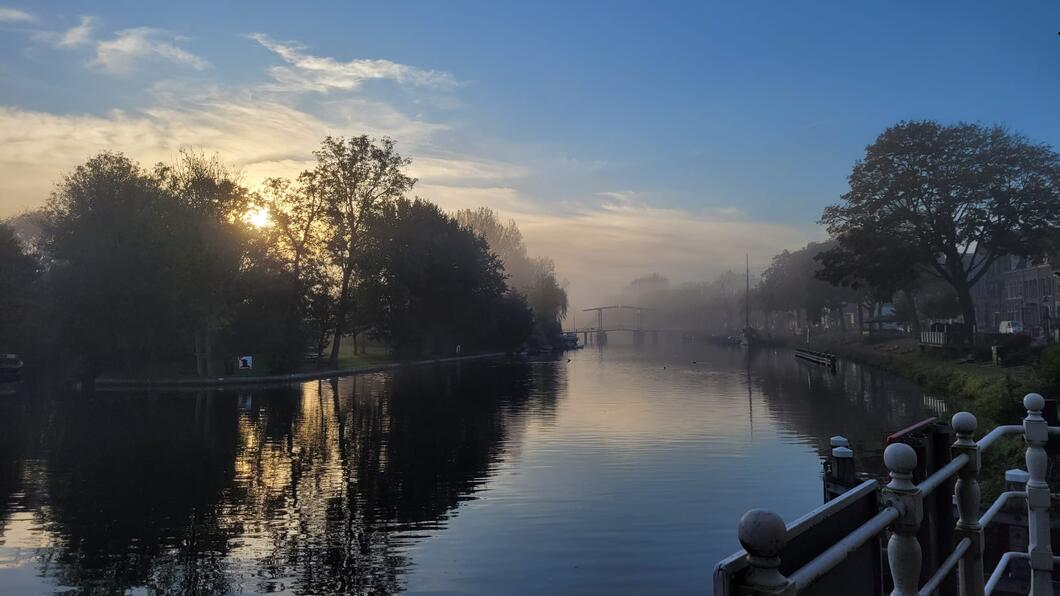 weesp mist